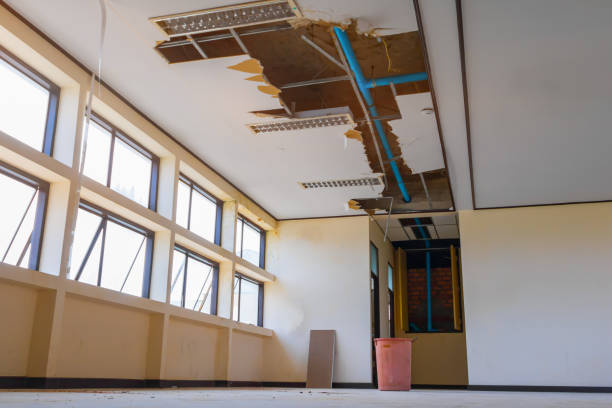 Best Residential water damage restoration  in Chauvin, LA