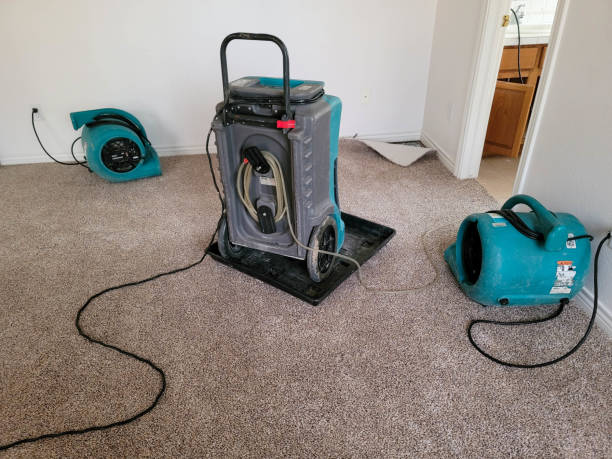 Best Flooded house restoration  in Chauvin, LA