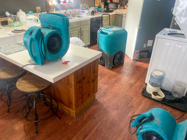 Best Professional water damage repair  in Chauvin, LA