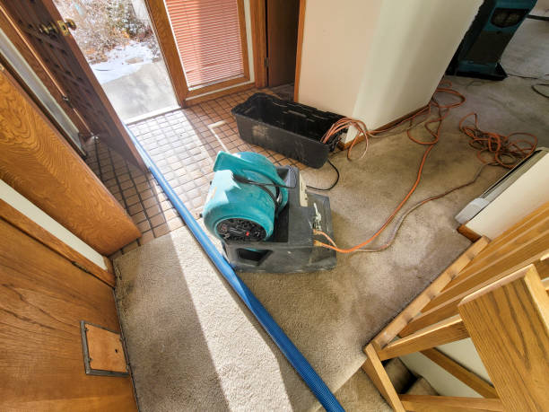 Best Flood restoration services  in Chauvin, LA