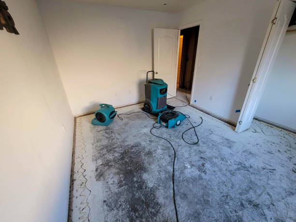 Best Emergency water extraction  in Chauvin, LA