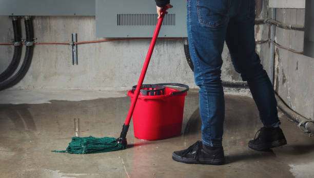 Best Flood damage cleanup  in Chauvin, LA