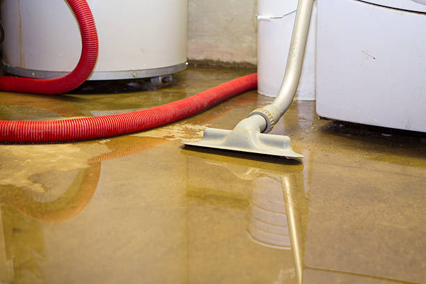Best Local water damage restoration  in Chauvin, LA
